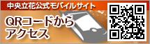 中央立花公式モバイルサイト　QRコードからアクセス